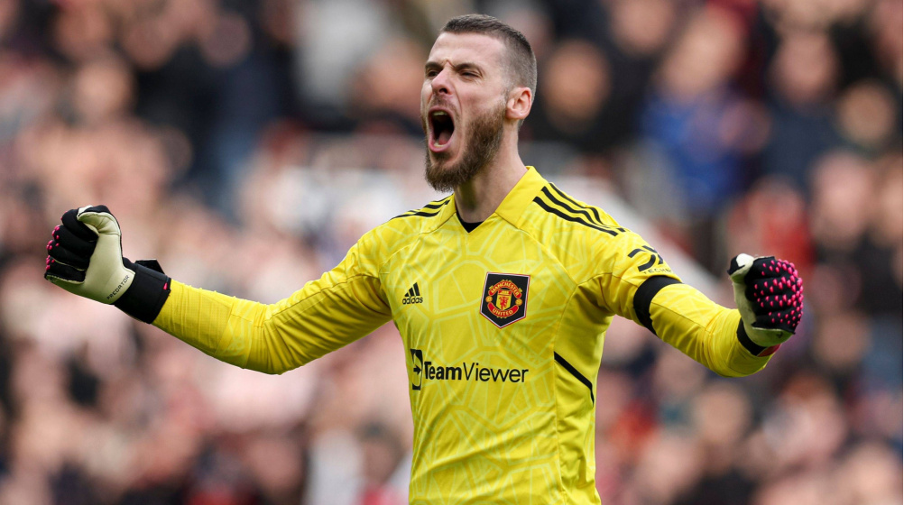 David de Gea Manchester United