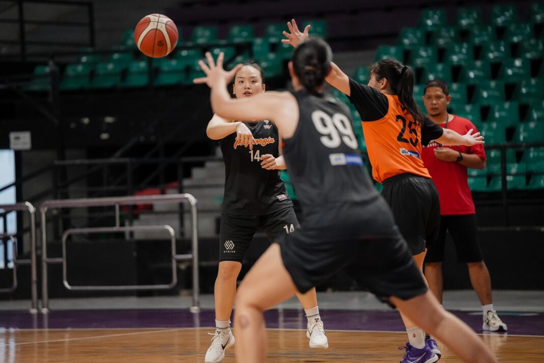 Timnas Basket Putri Indonesia