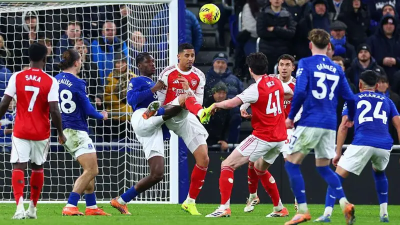 Sebuah keputusan dari Panel Insiden Pertandingan Utama Liga Premier menyatakan bahwa Everton seharusnya menerima sebuah tendangan penalti.