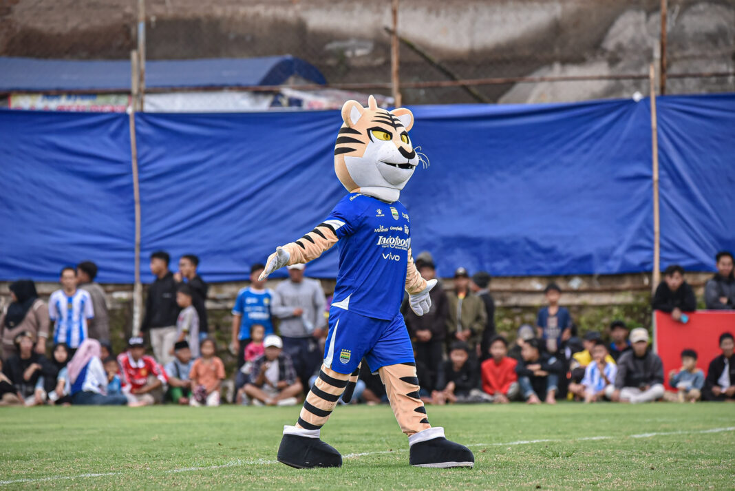 Persib Day Festival
